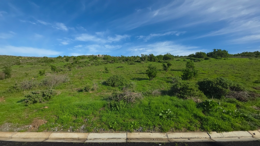 0 Bedroom Property for Sale in Saldanha Heights Western Cape